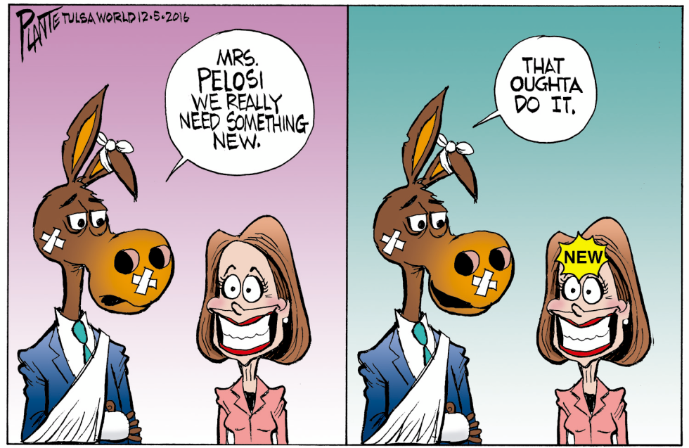 New Pelosi
