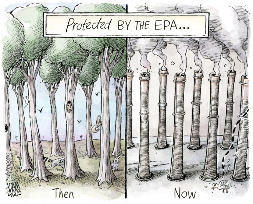 EPA COLOR