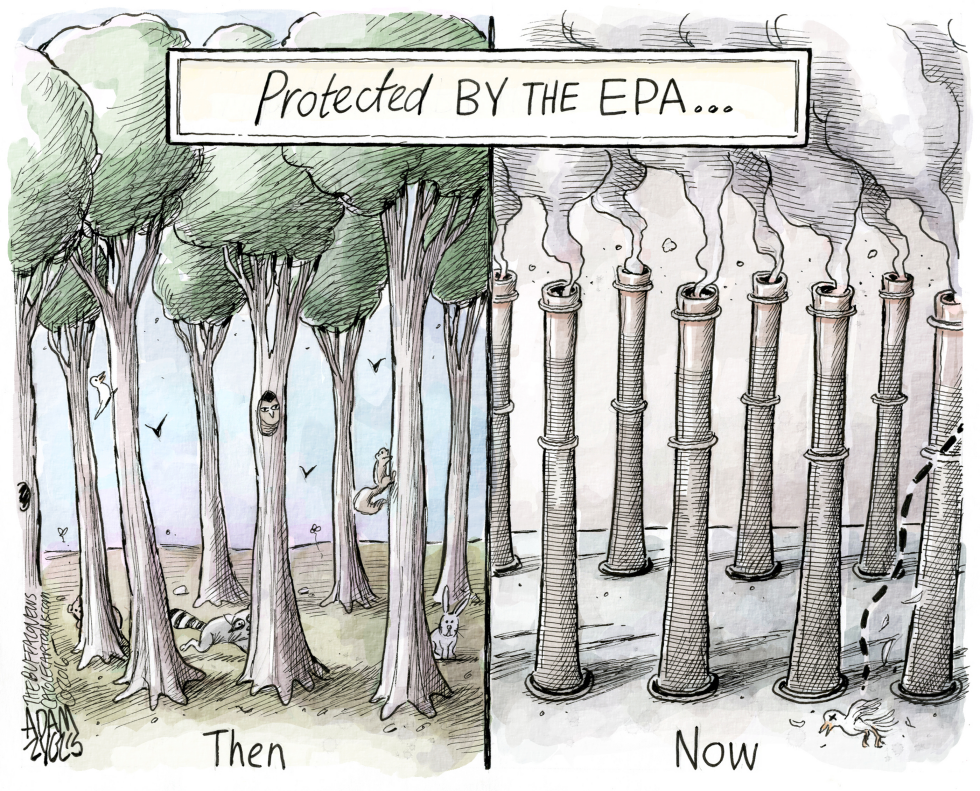  EPA by Adam Zyglis