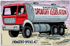 LOCALCA WATER LEGISLATION by Monte Wolverton