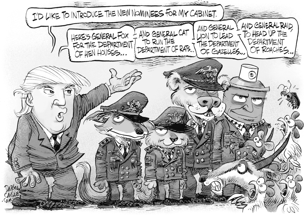  TRUMP CABINET PICKS by Daryl Cagle