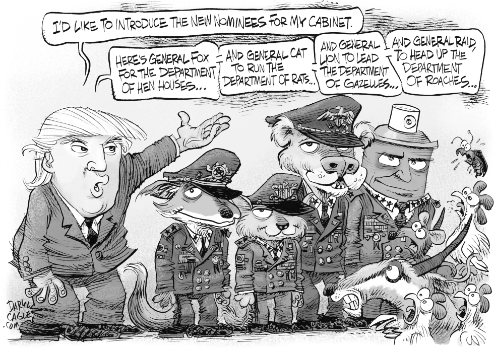 Trump Cabinet Picks