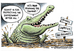 TRUMP AND SWAMP  by Dave Granlund