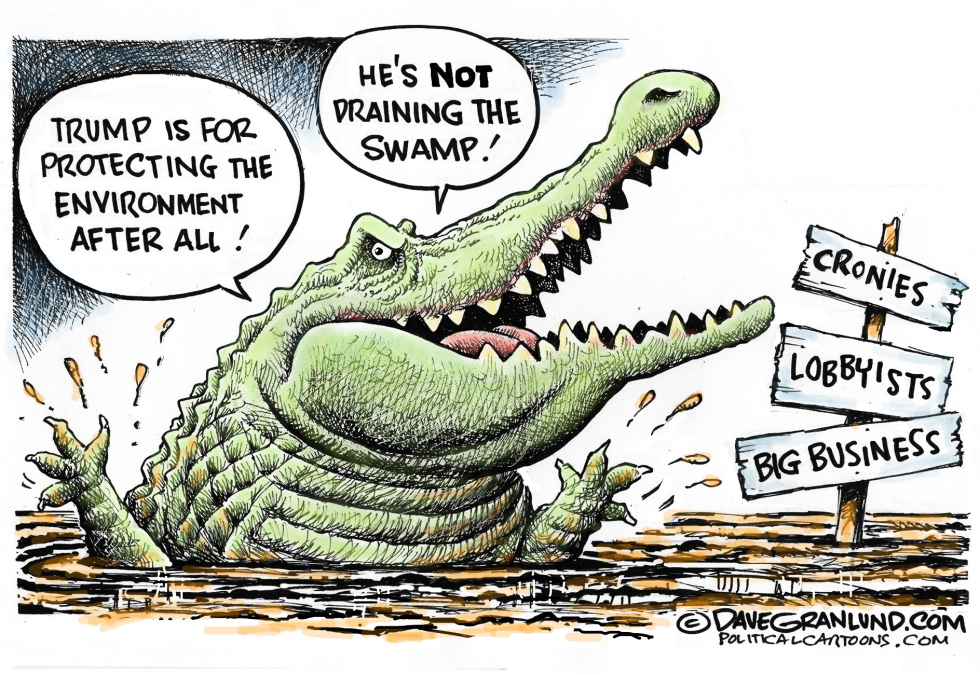Trump and swamp COLOR