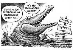 TRUMP AND SWAMP by Dave Granlund