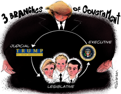 TRUMP'S 3 BRANCHES OF GOVERNMENT by Frank Hansen