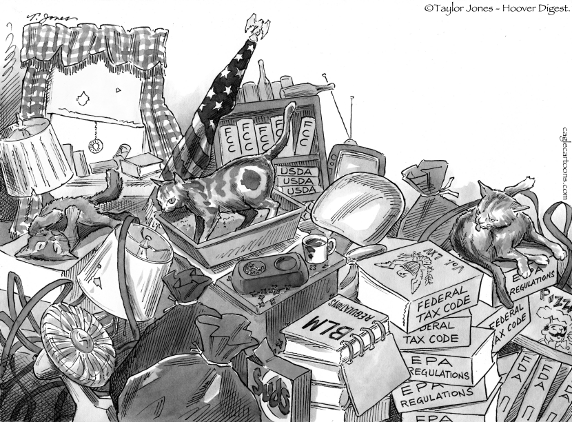 Over-regulation