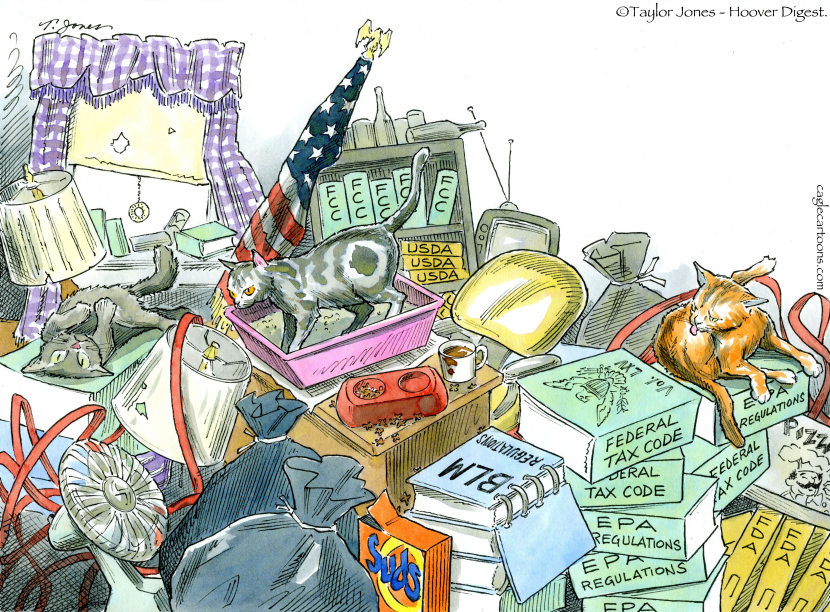 Over-regulation - COLOR