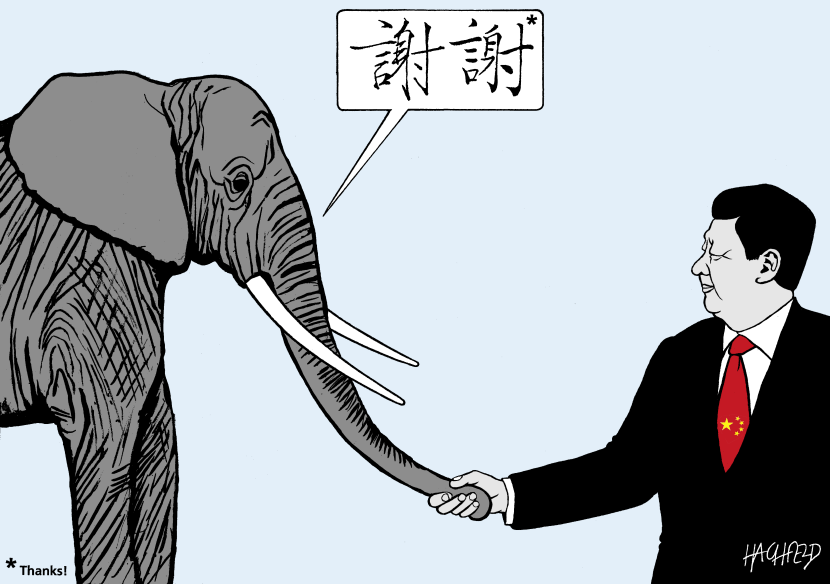 China saves elephants
