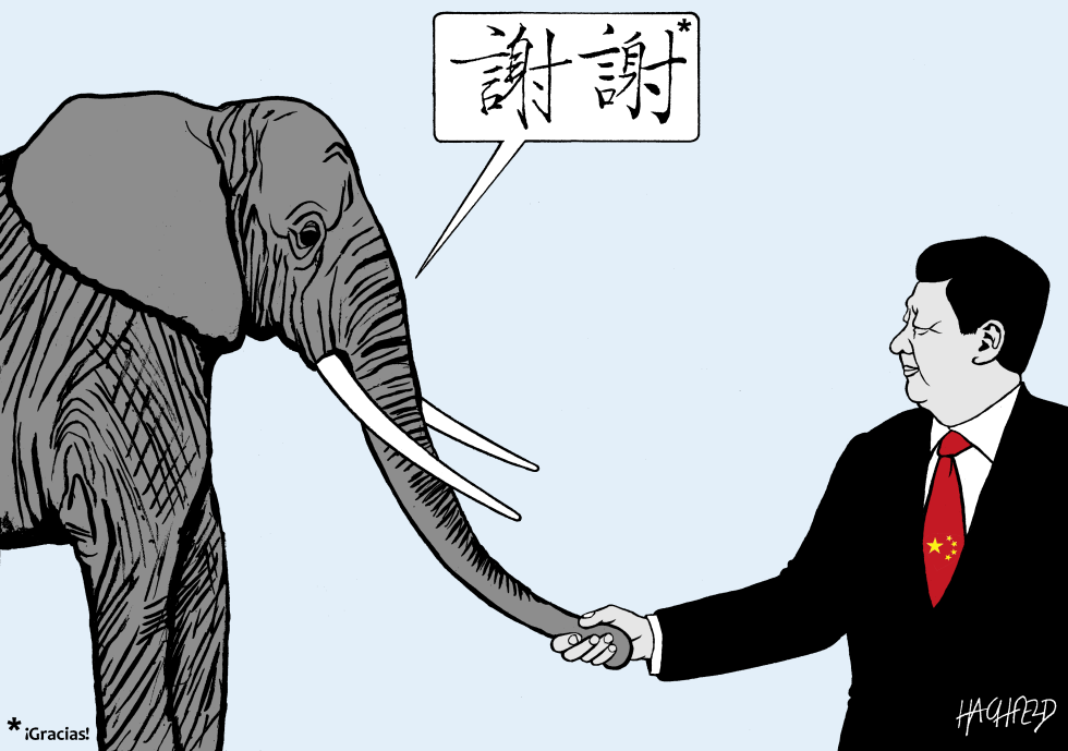 China salva a los Elefantes