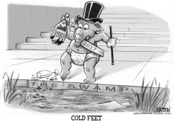REPUBLICANS RELUCTANT TO JUMP INTO CONGRESSIONAL ETHICS SWAMP by R.J. Matson