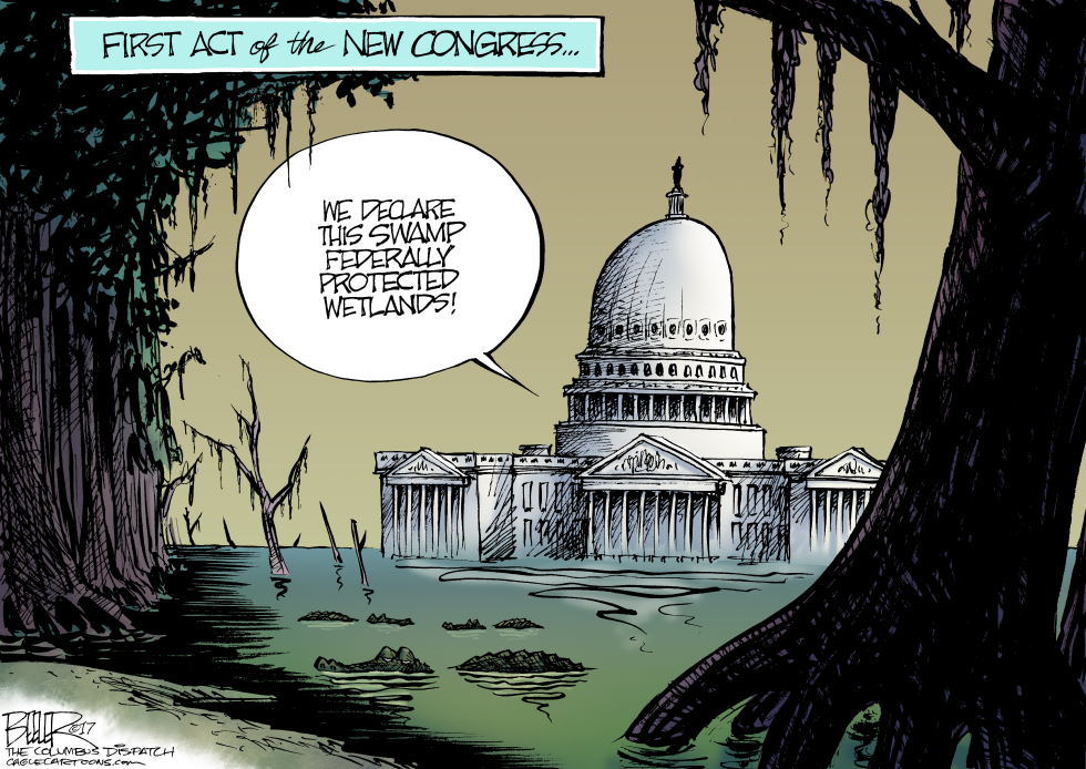  CONGRESSIONAL SWAMP by Nate Beeler