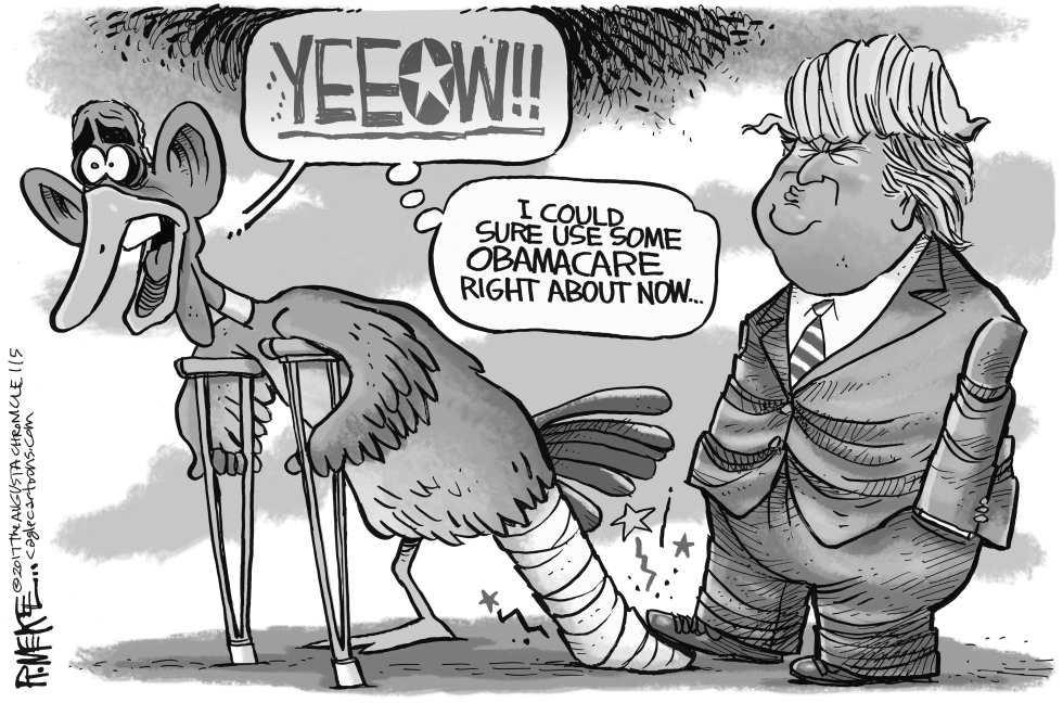Lame Duck
