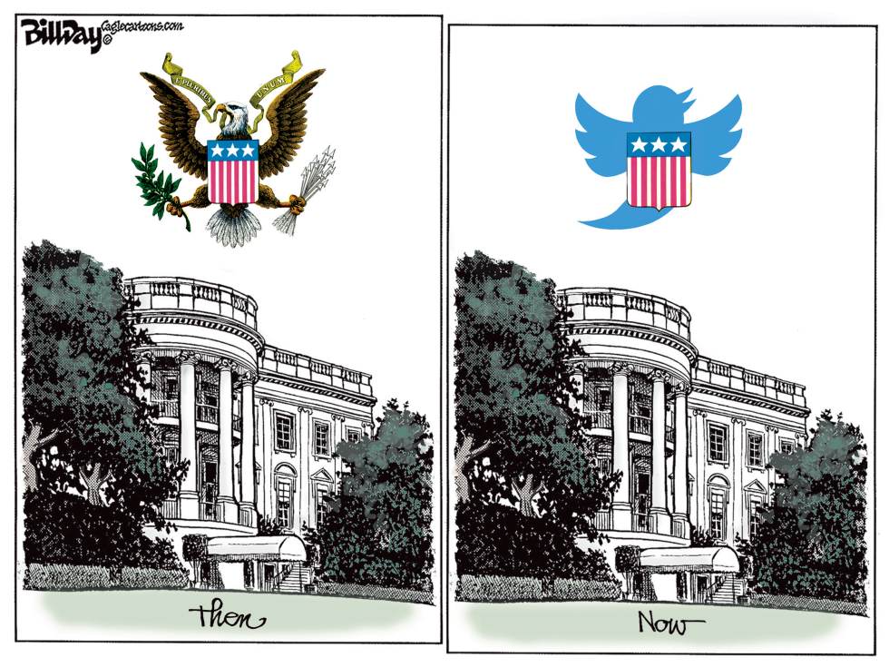 BIRDS