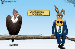 ENDANGERED SPECIES by Bruce Plante
