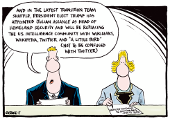 TRUMP LATEST TRANSITION TEAM SHUFFLE by Ingrid Rice