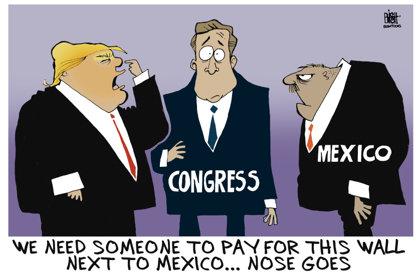 WHO WILL PAY FOR THE WALL, COLOR