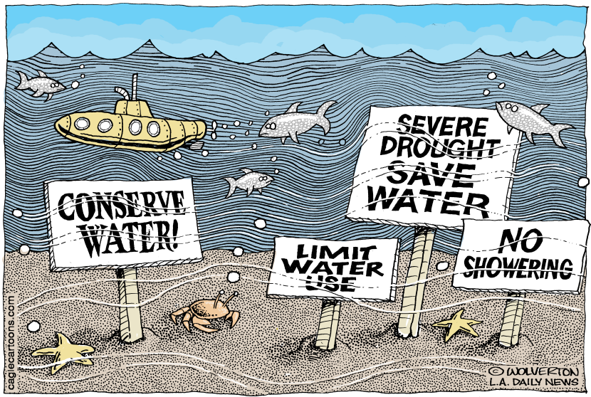 LOCALCA Drought to Flooding
