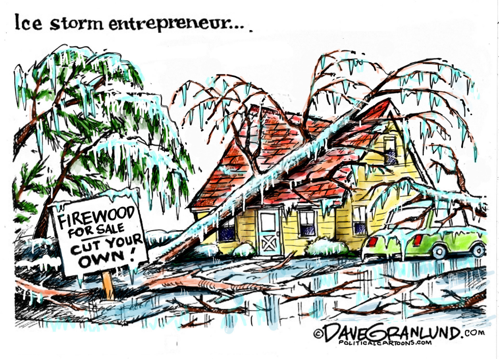 Ice storm damage COLOR