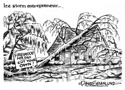 ICE STORM DAMAGE by Dave Granlund