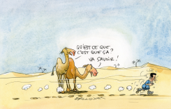 SARKOZY FIRED by Pierre Ballouhey