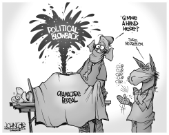GOP OBAMACARE REPEAL BW by John Cole