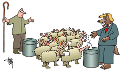 SHEPHERD TRUMP by Arend Van Dam