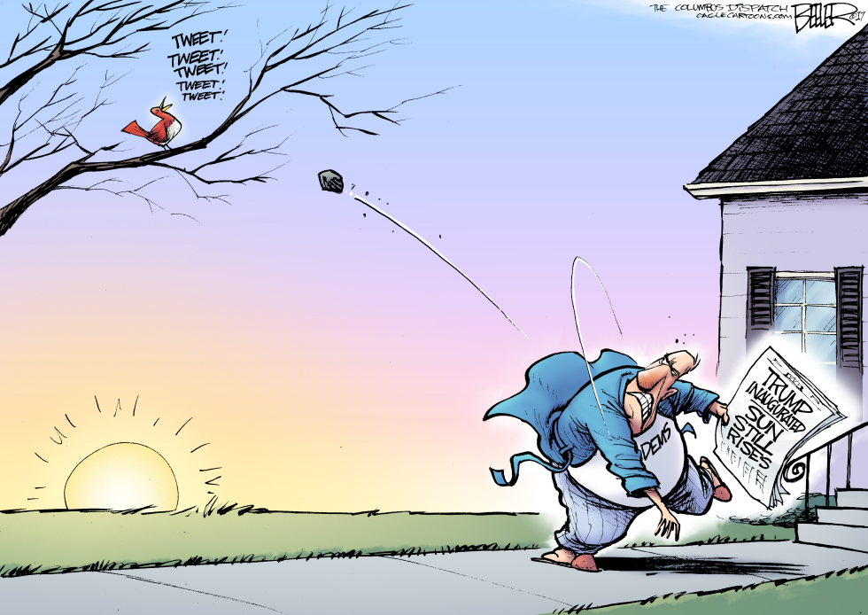 Dawn of Trump