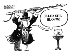 TRUMP VOTER FRAUD PROBE by Jimmy Margulies