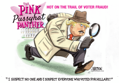 VOTER FRAUD INSPECTOR TRUMP CLOUSEAU by R.J. Matson