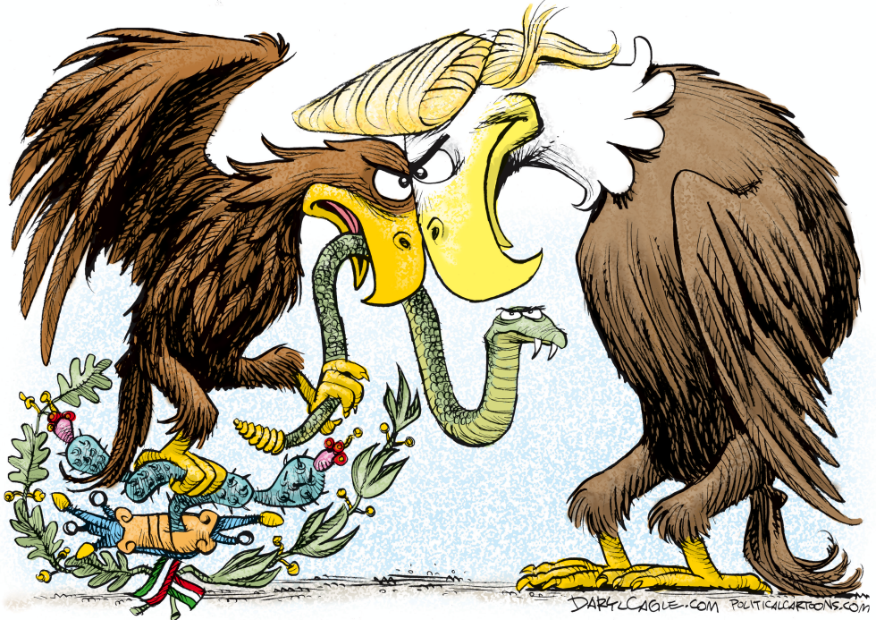  USA VS MEXICO by Daryl Cagle