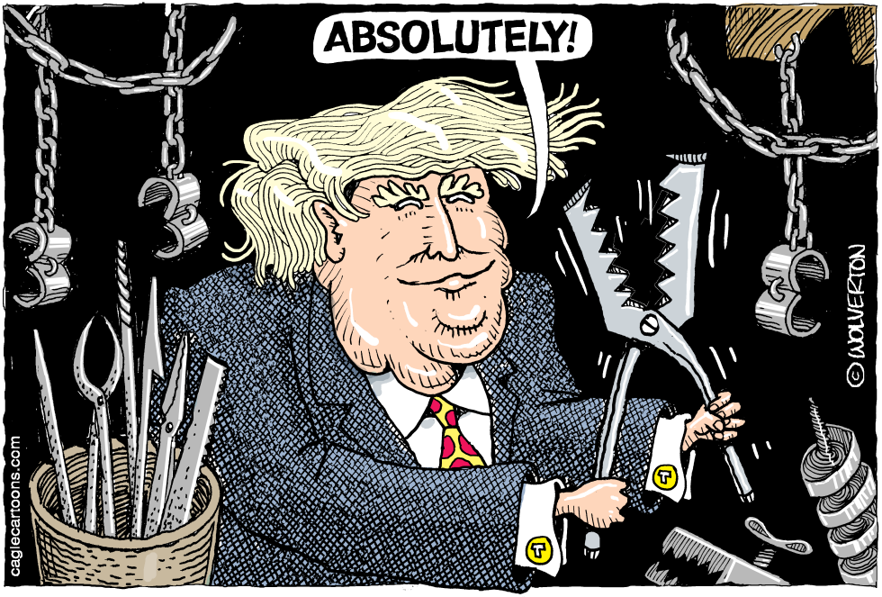  TRUMP AND TORTURE by Wolverton