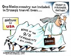 TRUMP TRAVEL BAN  by Dave Granlund