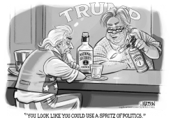 NEW NSC MEMBER STEVE BANNON by R.J. Matson
