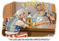 NEW NSC MEMBER STEVE BANNON by R.J. Matson