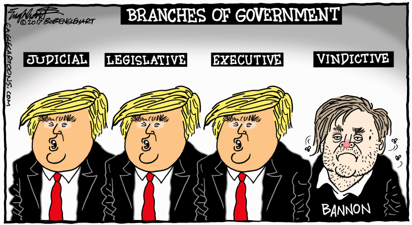 Steve Bannon