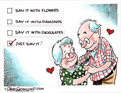 VALENTINE GIFTS  by Dave Granlund