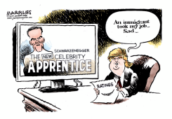 TRUMP AND CELEBRITY APPRENTICE  by Jimmy Margulies