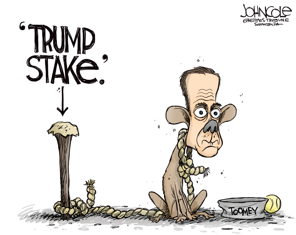Toomey and Trump