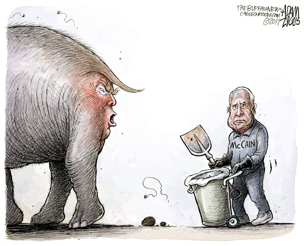 Cleanup duty COLOR