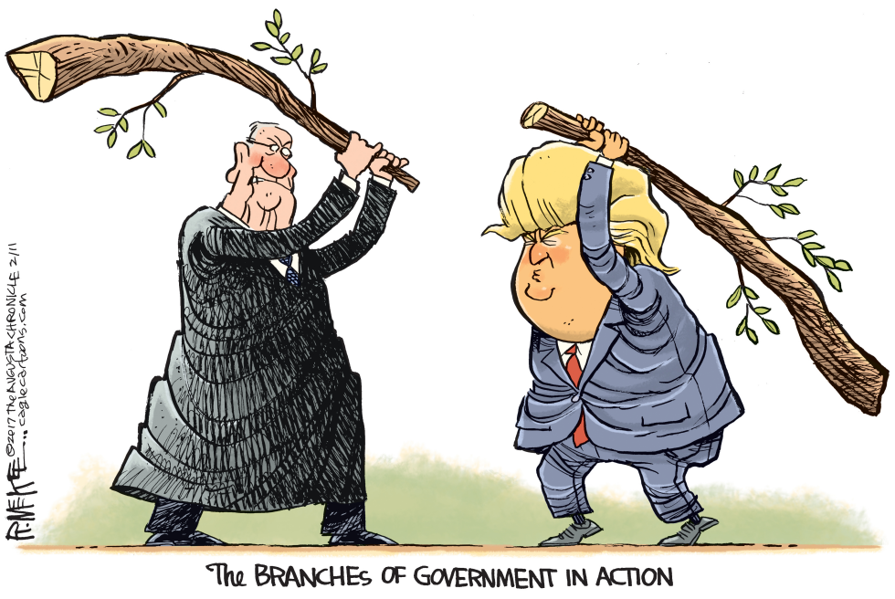 Trump Branches of Govt