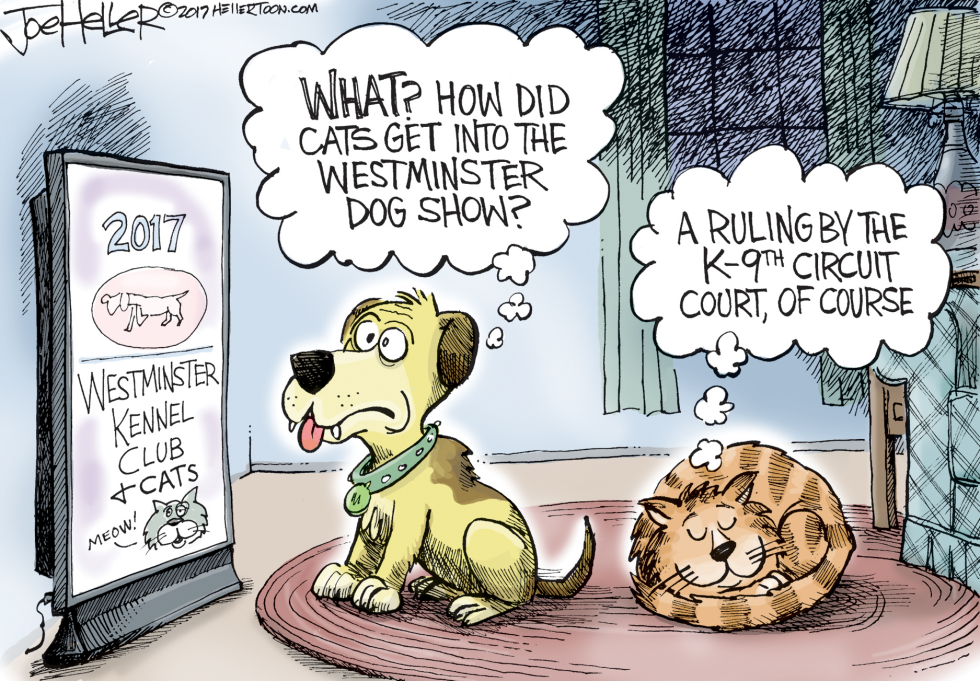 Westminster Cats
