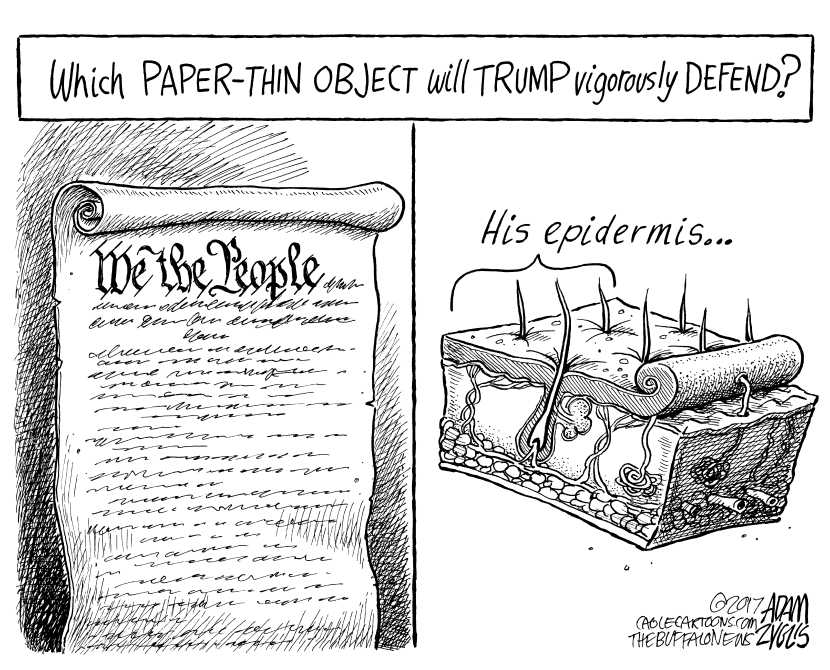 Thin skin