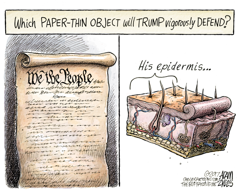 Thin skin COLOR