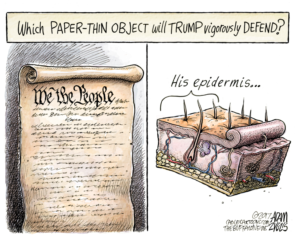 Thin skin COLOR