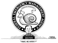 ALFRED E. FEMA by R.J. Matson