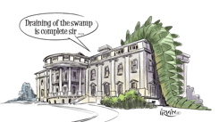 THE SWAMP IS DRAINED by Trevor Irvin