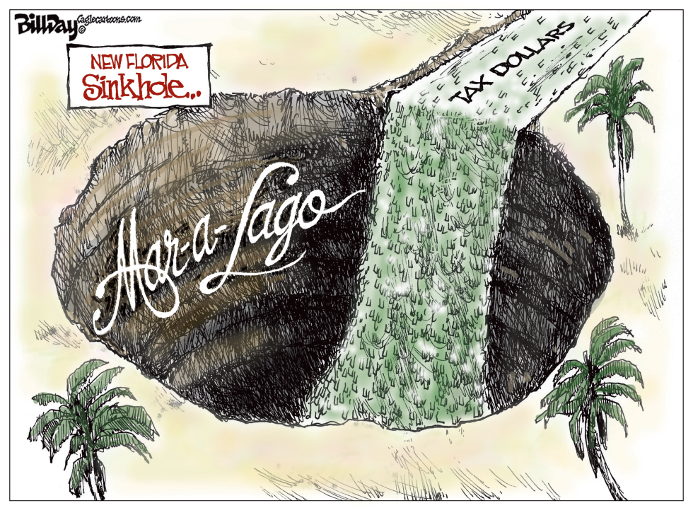  MAR-A-LAGO SINKHOLE by Bill Day