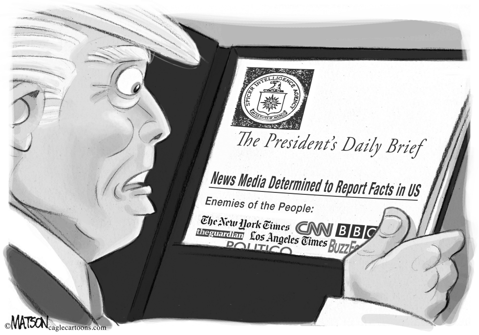 President Trump Daily Brief