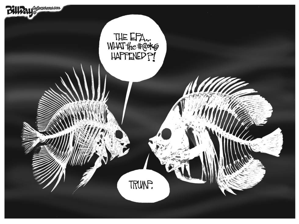 TRUMP'S EPA